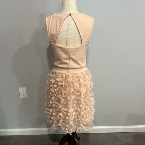 Carla Conti Sleeveless Blush Pink Cocktail Dress Medium - Picture 10 of 10
